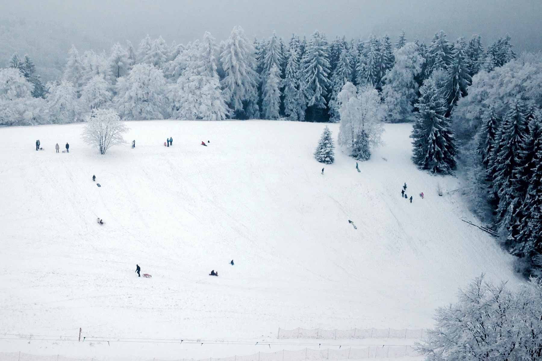 Rodelbahn direkt am Haus Rodelbahn Panoramic